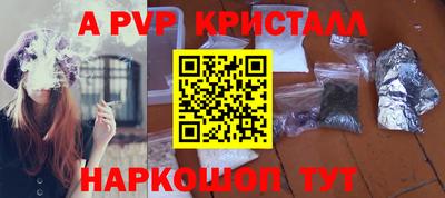 стаф Кинель