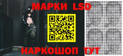 стаф Кинель