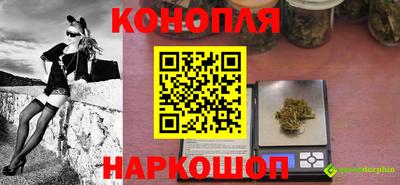 стаф Кинель