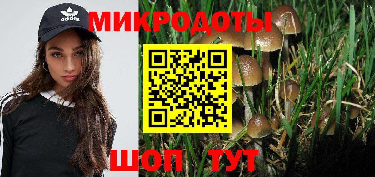 Галлюциногенные грибы мицелий Вичуга
