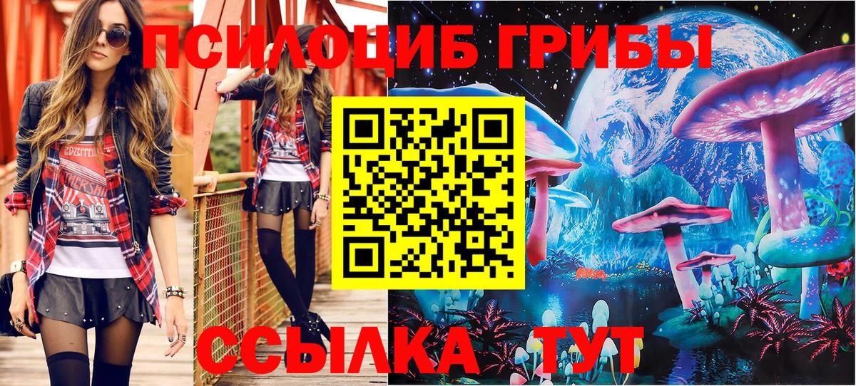 Вичуга  Псилоцибиновые грибы мицелий  Вход с VPN 
